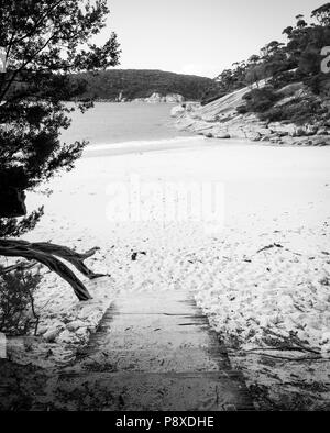 Piste de marche entrée de Refuge Cove beach à Wilsons Promontory National Park, Victoria, Australie en noir et blanc Banque D'Images