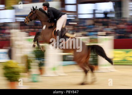 Neustadt (Dosse), Dynamics, le cheval et le cavalier au cours de cso Banque D'Images