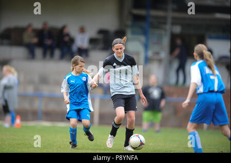 Les filles jouent au football, soccer girls Banque D'Images