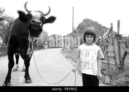 Jeune fille musulmane de prendre une vache pour l'abattage de l'Aïd al Adha sacrifiyng fête, Fête du sacrifice Banque D'Images