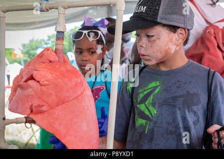 Detroit, Michigan - Les enfants d'examiner un poumon de porc chez Metro Detroit de la jeunesse. Des milliers d'enfants de 8 à 15 ans assistent à l'événement annuel sur Belle Isle, w Banque D'Images