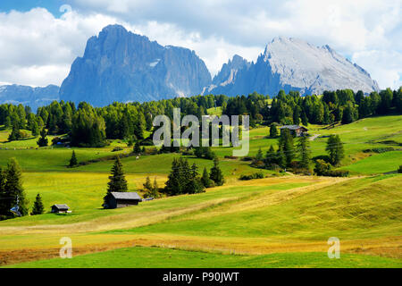 Siusi, la plus grande prairie alpine de haute altitude en Europe, de superbes montagnes rocheuses en arrière-plan. La province du Tyrol du sud de l'Italie, Dolomites. Banque D'Images