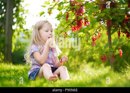 Cute little girl picking groseilles rouges dans un jardin par beau jour d'été Banque D'Images