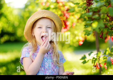 Cute little girl picking groseilles rouges dans un jardin par beau jour d'été Banque D'Images