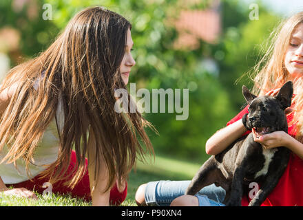 Les jeunes jolies filles avec chiot bouledogue français Banque D'Images