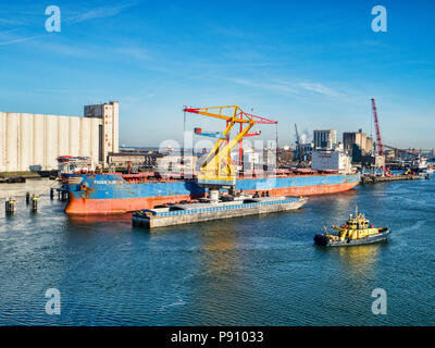 6 avril 2018 : Rotterdam, Pays-Bas - transporteur de vrac Tiger Nord étant déchargé au port de Rotterdam par un beau matin de printemps avec ciel bleu clair. Banque D'Images