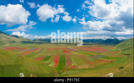 Castelluccio di Norcia, Ombrie, Italie (2018) - La célèbre floraison paysage avec beaucoup de couleurs, dans les hautes terres de montagnes de Sibillini, Italie centrale Banque D'Images