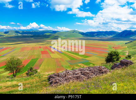 Castelluccio di Norcia, Ombrie, Italie (2018) - La célèbre floraison paysage avec beaucoup de couleurs, dans les hautes terres de montagnes de Sibillini, Italie centrale Banque D'Images