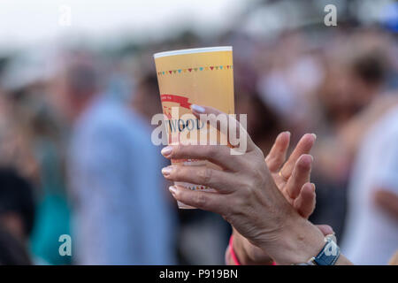 Brentwood, Essex, 13 Jul 2018 Brentwood Music Festival 2018 à Brentwood Centre un ventilateur dans la foule Credit Ian Davidson/Alamy Live News Banque D'Images