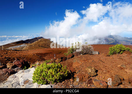 Paysage magnifique vue sur volcan Haleakala salon vue depuis le sommet. Maui, Hawaii, USA. Banque D'Images