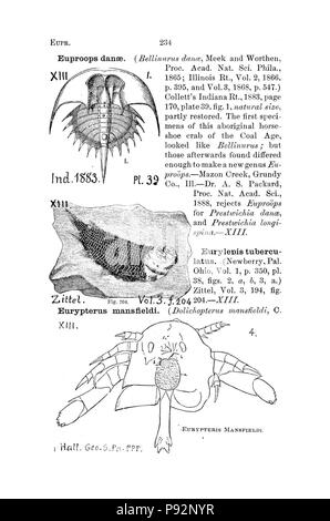 Un dictionnaire des fossiles de la Pennsylvanie et les états voisins nommés dans les rapports et les catalogues de l'enquête (page 234) Banque D'Images