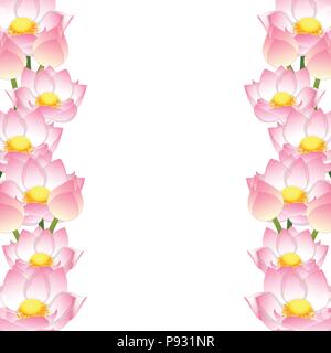 - Nelumbo nucifera lotus indien Frontière, lotus sacré, de l'Inde, de haricots Haricots égyptien. Fleur nationale de l'Inde et le Vietnam. Vector Illustration. isoler Illustration de Vecteur