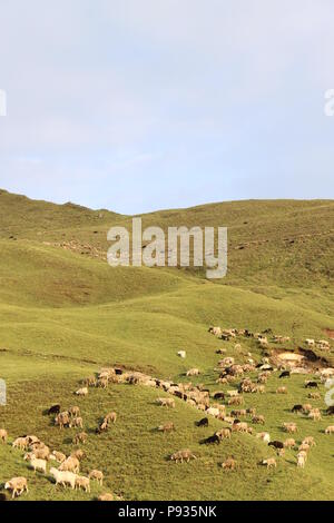 Belles montagnes de l'Himalaya comme vu au cours Roopkund trek dans l'Uttarakhand Banque D'Images