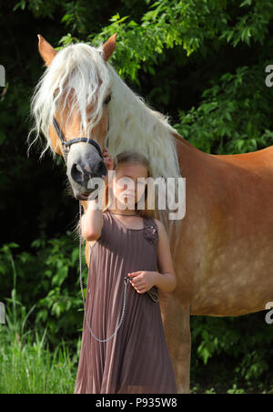 Michurinsk, la Russie, le 24 mai 2018 : enfant fille et cheval Haflinger du Tyrol lors de la répétition générale de l'Exposition agricole Michurin Banque D'Images