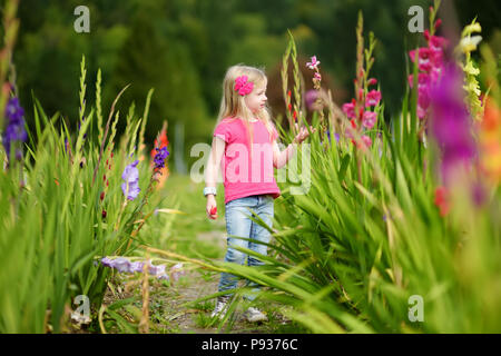 Cute little girl playing in blossoming glaïeul champ. Préparation de l'enfant et fleurs fraîches dans sword lily meadow aux beaux jours d'été. Le choix des fleurs pour enfant Banque D'Images