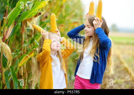 Adorable soeurs jouant dans un champ de maïs sur belle journée d'automne. Jolie tenue enfants épis de maïs. La récolte avec les enfants. Activités d'automne pour ch Banque D'Images