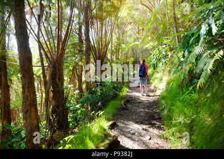 Randonnées touristiques sur le Kilauea Iki trail dans le parc national des volcans dans la grande île d'Hawaï. Sentier mène à travers la forêt tropicale luxuriante le long de la jante du Kilauea Banque D'Images