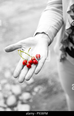 Jeune femme tenant les cerises dans sa paume. L'effet noir et blanc avec cerises rouges. Banque D'Images