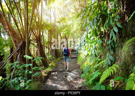 Randonnées touristiques sur le Kilauea Iki trail dans le parc national des volcans dans la grande île d'Hawaï. Sentier mène à travers la forêt tropicale luxuriante le long de la jante du Kilauea Banque D'Images