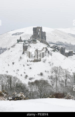 Château de Corfe dans la neige. Banque D'Images