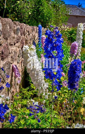 Brodie Castle (SC18) Banque D'Images
