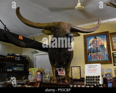 Adelaide River, Australie - Jun 16, 2018. Charlie le buffle d'eau dans le film Crocodile Dundee, sur l'affichage à l'Adelaide River Inn pub. Banque D'Images