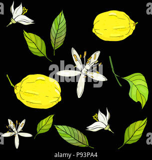Avec motif citrons jaunes des fleurs blanches et des feuilles sur fond noir Banque D'Images