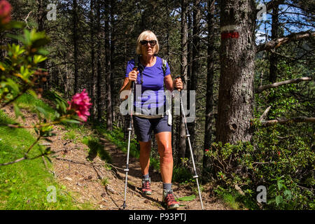 Randonneur femme marche sur le GR11 Chemin de longue distance entre Setcases et Mollo dans les Pyrénées Catalanes, Espagne Banque D'Images