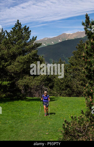 Randonneur femme marche sur le GR11 Chemin de longue distance entre Setcases et Mollo dans les Pyrénées Catalanes, Espagne Banque D'Images