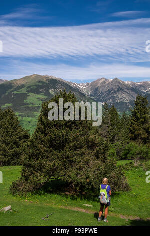 Randonneur femme marche sur le GR11 Chemin de longue distance entre Setcases et Mollo dans les Pyrénées Catalanes, Espagne Banque D'Images