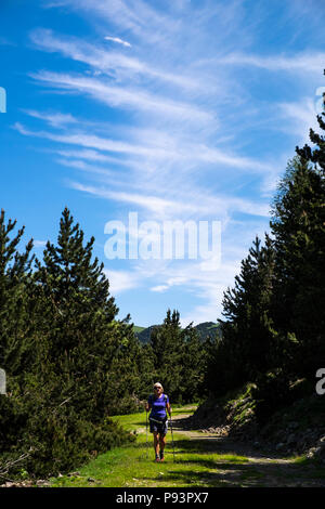 Randonneur femme marche sur le GR11 Chemin de longue distance entre Setcases et Mollo dans les Pyrénées Catalanes, Espagne Banque D'Images