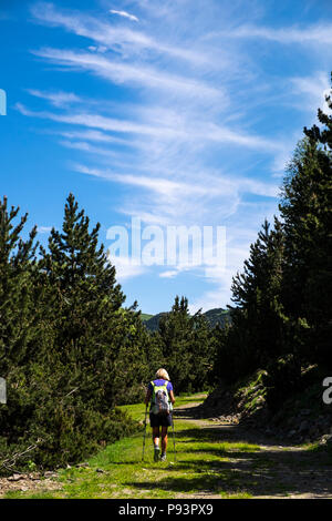 Randonneur femme marche sur le GR11 Chemin de longue distance entre Setcases et Mollo dans les Pyrénées Catalanes, Espagne Banque D'Images