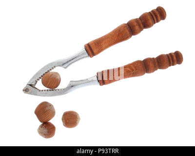 Le Cassenoix avec noisettes entières isolé sur blanc. Banque D'Images