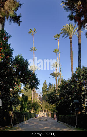 Vue sur le Jardín del Marqués de La Vega-Inclán, Alcázar de jardins, Sevilla, Andalousie, Espagne Banque D'Images