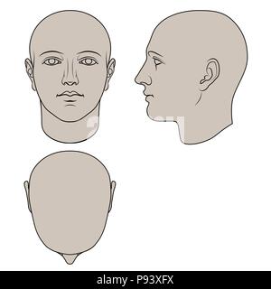 Tête humaine dessinés à la main, en face, et de profil haut. Télévision vector isolé sur fond blanc. Les dessins peuvent être utilisés indépendamment les uns des autres. Illustration de Vecteur