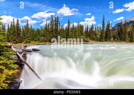 Vue en haut des chutes Athabasca dans le Parc National Jasper montrant eaux rapides de la classe 5, cascade jugés les plus puissants dans l'Ro Banque D'Images