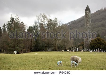 Une vue sur le paysage de Glendalough vu depuis une route au loin. Banque D'Images