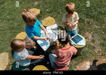 Groupe de camarades apprennent ensemble à un cours de sciences naturelles à l'extérieur dans un jardin. Vue de dessus d'enfants en coopération sur un projet d'école. Banque D'Images