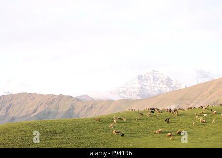 Roopkund de trekking à travers les montagnes de l'himalaya Banque D'Images