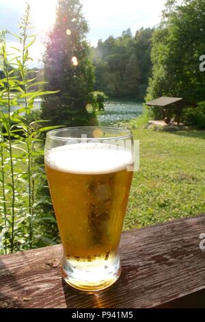 Bière froide sur une clôture en bois avec lac, herbe et arbres en arrière-plan au coucher du soleil Banque D'Images