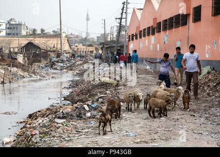 Rue de Hazaribagh, usines de cuir / quartier des tanneries, Dhaka, Bangladesh Banque D'Images