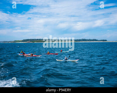 Un groupe l'aviron dans le canoë, Îles Scilly. Banque D'Images