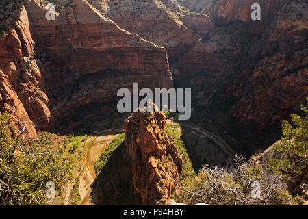 UT00443-00...UTAH - l'orgue, un éperon nervure à la grande courbe de la Virgin River vue de Angels Landing dans Zion National Park. Banque D'Images