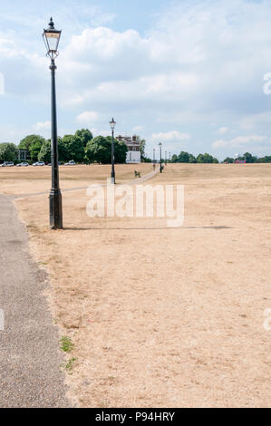 L'herbe sèche, brown sur l'heath à Blackheath dans la chaleur de l'été 2018 Banque D'Images