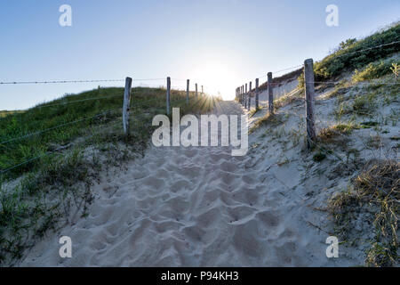 Chemin à travers les dunes de sable Banque D'Images