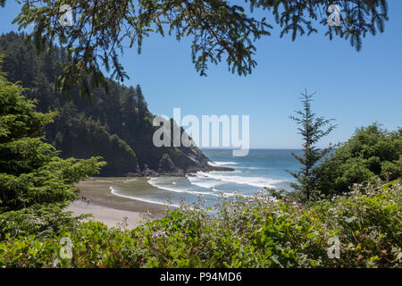 Tête Heceta Cove, près de Florence, Oregon Banque D'Images