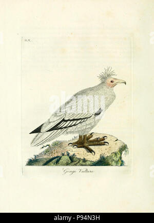 . Une histoire générale d'oiseaux / Winchester [Angleterre]:Imprimé par Jacob et Johnson, pour l'auteur : vendu à Londres par G. et W.B. Whittaker ... [3] et d'autres,1821-1828. Banque D'Images