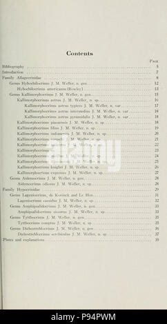 Un groupe d'larviform crinoïdes de la baisse de la strate pennsylvanienne bassin intérieur de l'Est . Banque D'Images