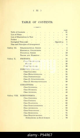 Un guide pour les animaux invertébrés fossiles dans le département de géologie et de paléontologie au British Museum (Natural History) . Banque D'Images