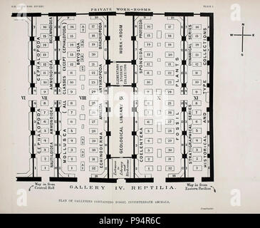 Un guide pour les animaux invertébrés fossiles dans le département de géologie et de paléontologie au British Museum (Natural History) . Banque D'Images